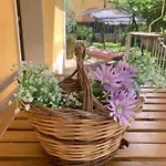 Rosanna Villa *